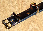 Buckle and Lead Ring