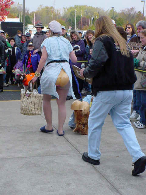 DSC02853