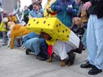 DSC02979